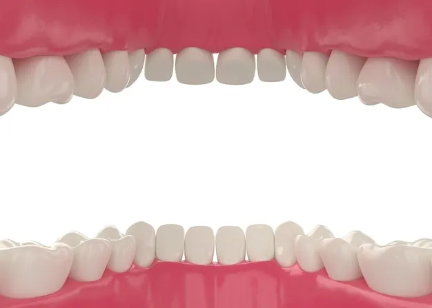 عدد الاسنان